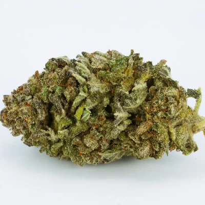 Blue Dragon Marijuana