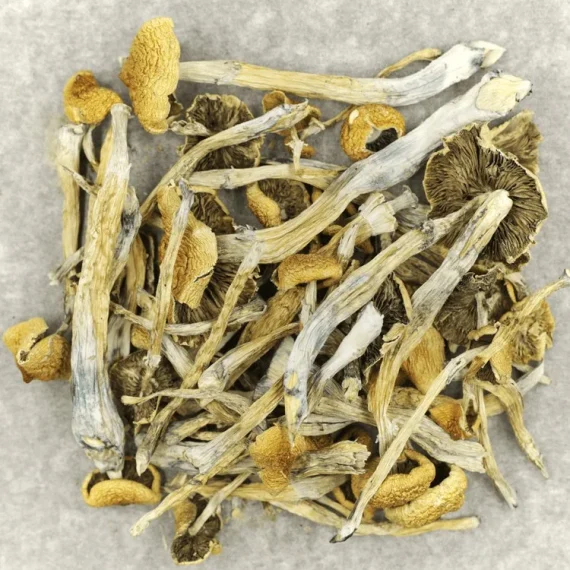 Dried Mexican shrooms