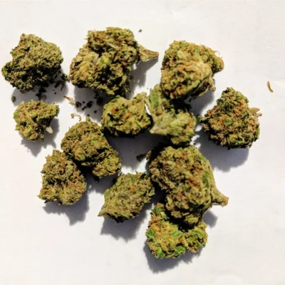 Home 16 Hindu Kush