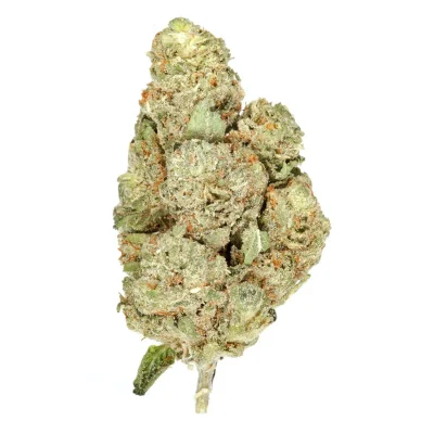 Home 19 OG kush