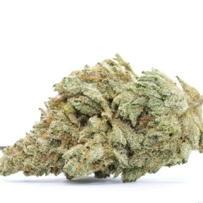 Home 12 White widow kush